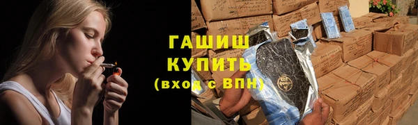 индика Алзамай