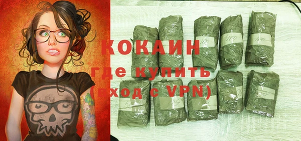 индика Алзамай