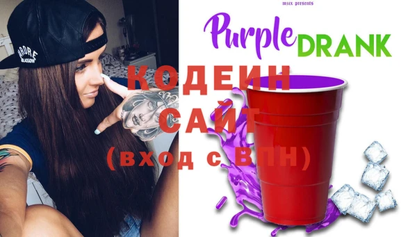индика Алзамай