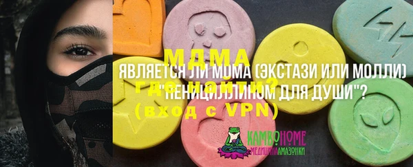 индика Алзамай