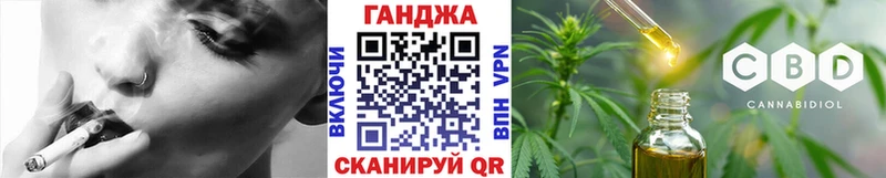 Конопля сатива Пыталово